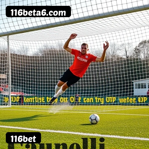 Requisitos do APK da 116bet para Android