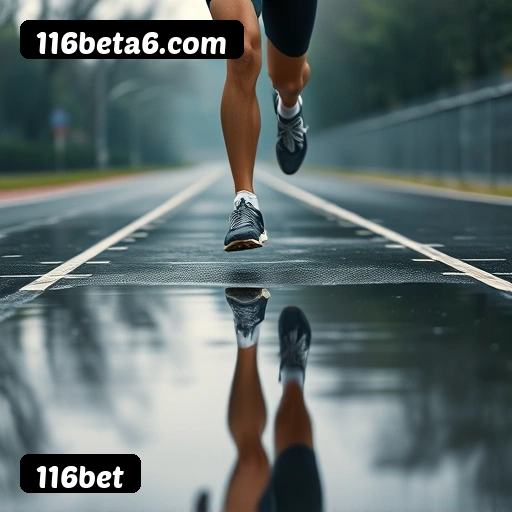 116bet APP mobile iOS Android - 187 mil downloads São Paulo Rio BH